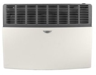 (image for) Eskabe Direct Vent Propane Heater -DVEL 20 LP 17000 BTUs